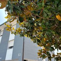 Malcontenta alloggio per 3 persone