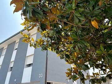 Malcontenta alloggio per 3 persone