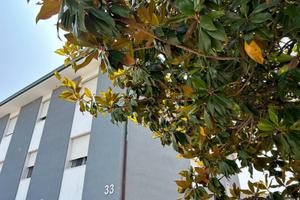 Malcontenta alloggio per 3 persone