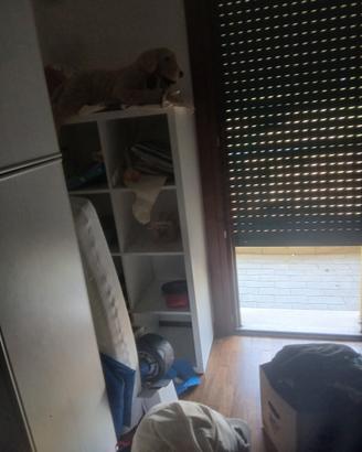 scaffale Ikea Kallax 8 moduli