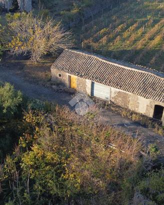 TER. AGRICOLO A PIEDIMONTE ETNEO