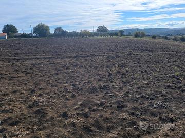 Terreno irriguo edificabile