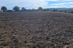 Terreno irriguo edificabile