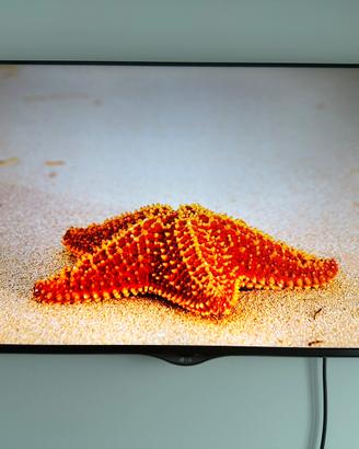 tv smart lg 49 poliici 4k ultra HD