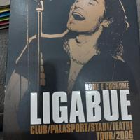 DVD ligabue