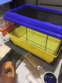 Due gabbiette cricieto