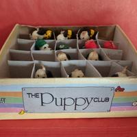 The puppy club - box 12 candeline da collezione