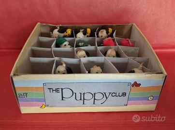 The puppy club - box 12 candeline da collezione