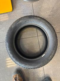 Gomme maxxis premitra