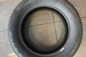 Gomme maxxis premitra