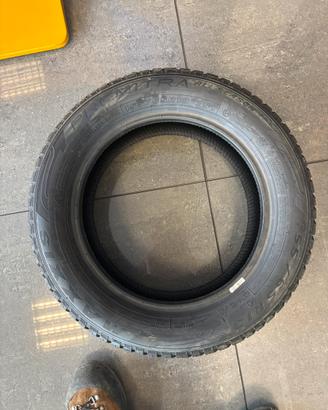 Gomme maxxis premitra