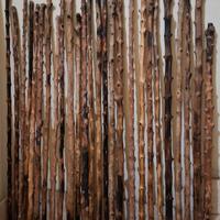 bastone siciliano da pastore