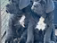 Immagine 5