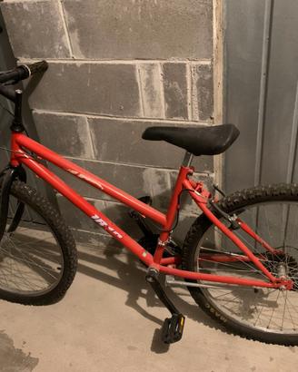 Bicicletta MTB ragazzo