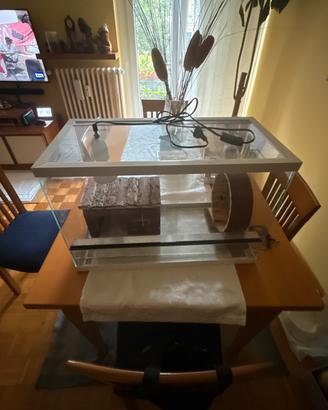 Terrarium per animali esotici