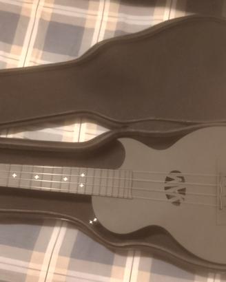 ukulele rockjam 