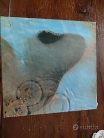 meddle Pink Floyd vinile