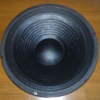 Woofer 310 mm 150 watt rms come nuovo