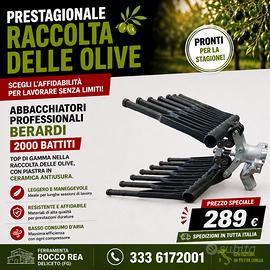 ABBACCHIATORE BERARDI RACCOLTA OLIVE