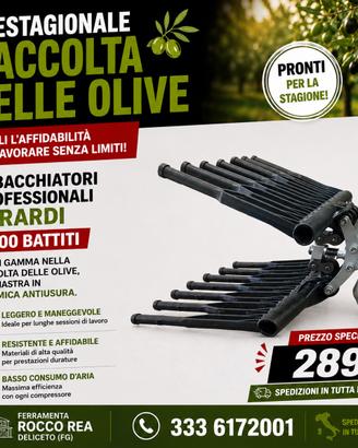 ABBACCHIATORE BERARDI RACCOLTA OLIVE