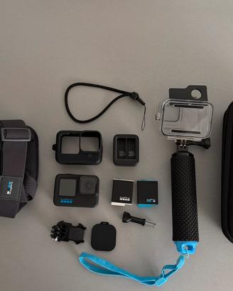Go Pro Hero Black 10