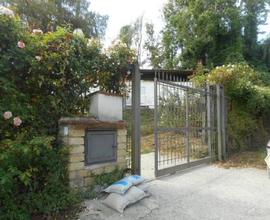 Terreno agricolo, Via C. Margherita, S. Croce