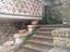 Immagine 19