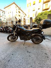 Benelli Leoncino 500, 2021