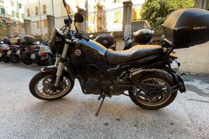 Benelli Leoncino 500, 2021