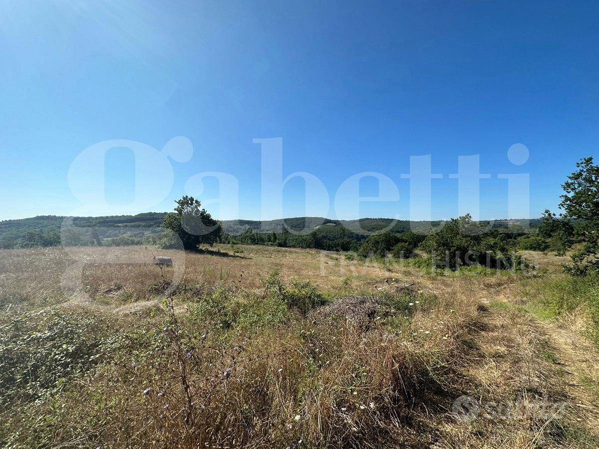 Rustico/Casale/Corte Orte [Cod. rif 3329926VRG] - Vista 2