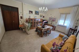 Spoltore Villa raspa, casa singola con giardino