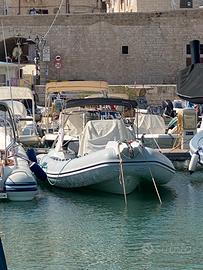 Gommone SACS 780 envirude 200 e-tech