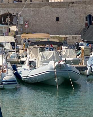 Gommone SACS 780 envirude 200 e-tech