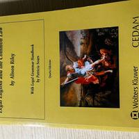 Legal English and common law 