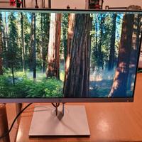 Monitor HP E243