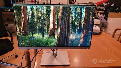 Monitor HP E243