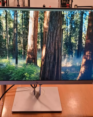 Monitor HP E243
