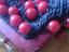 Immagine 6