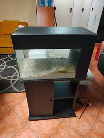 acquario 