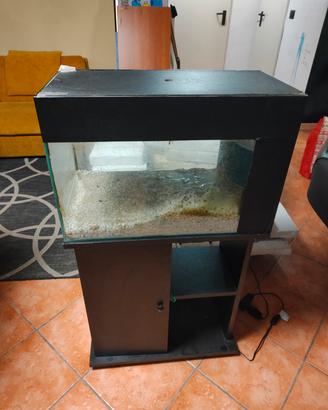 acquario 