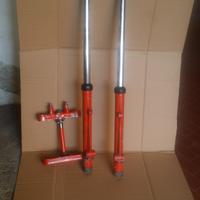 Forcelle Ceriani e Marzocchi