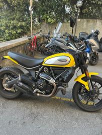 Ducati Icon Scrambler 800