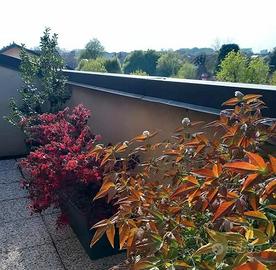 fioriere da terrazzo 