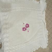 copertina per portanfan 