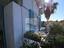 Immagine 22