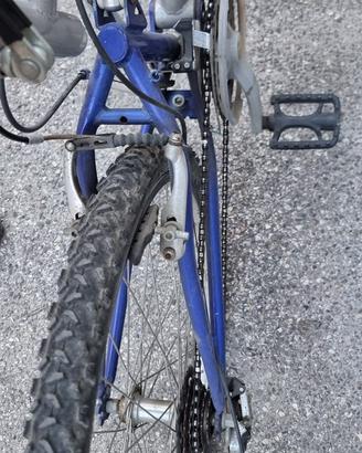 Bici marzano