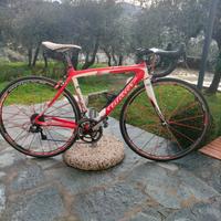 bici da strada wilier Isoard xp