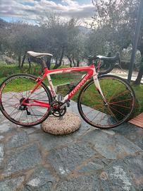 bici da strada wilier Isoard xp