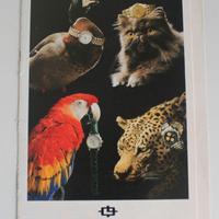 1993 LORENZ ANIMALI VINTAGE WATCH OROLOGIO AD PUB