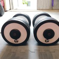 Manubri Technogym gommati 24kg - coppia